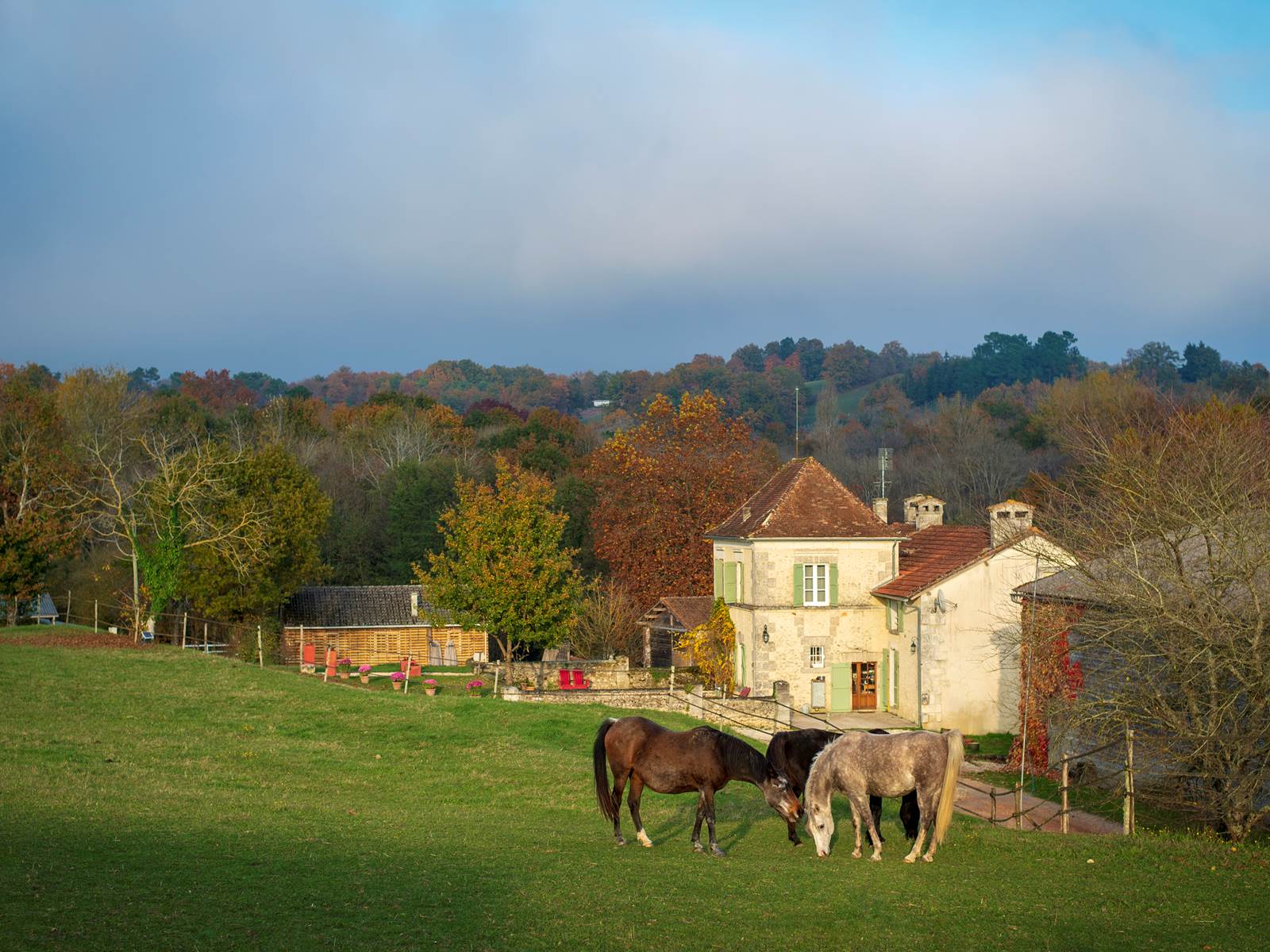 Le Domaine entouré des chevaux (c) Michel Dartenset