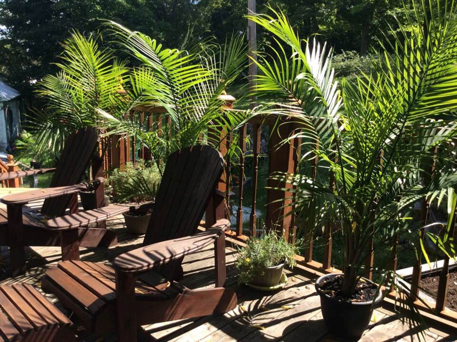 L'Ile de Garde B&B la terrasse-carousel