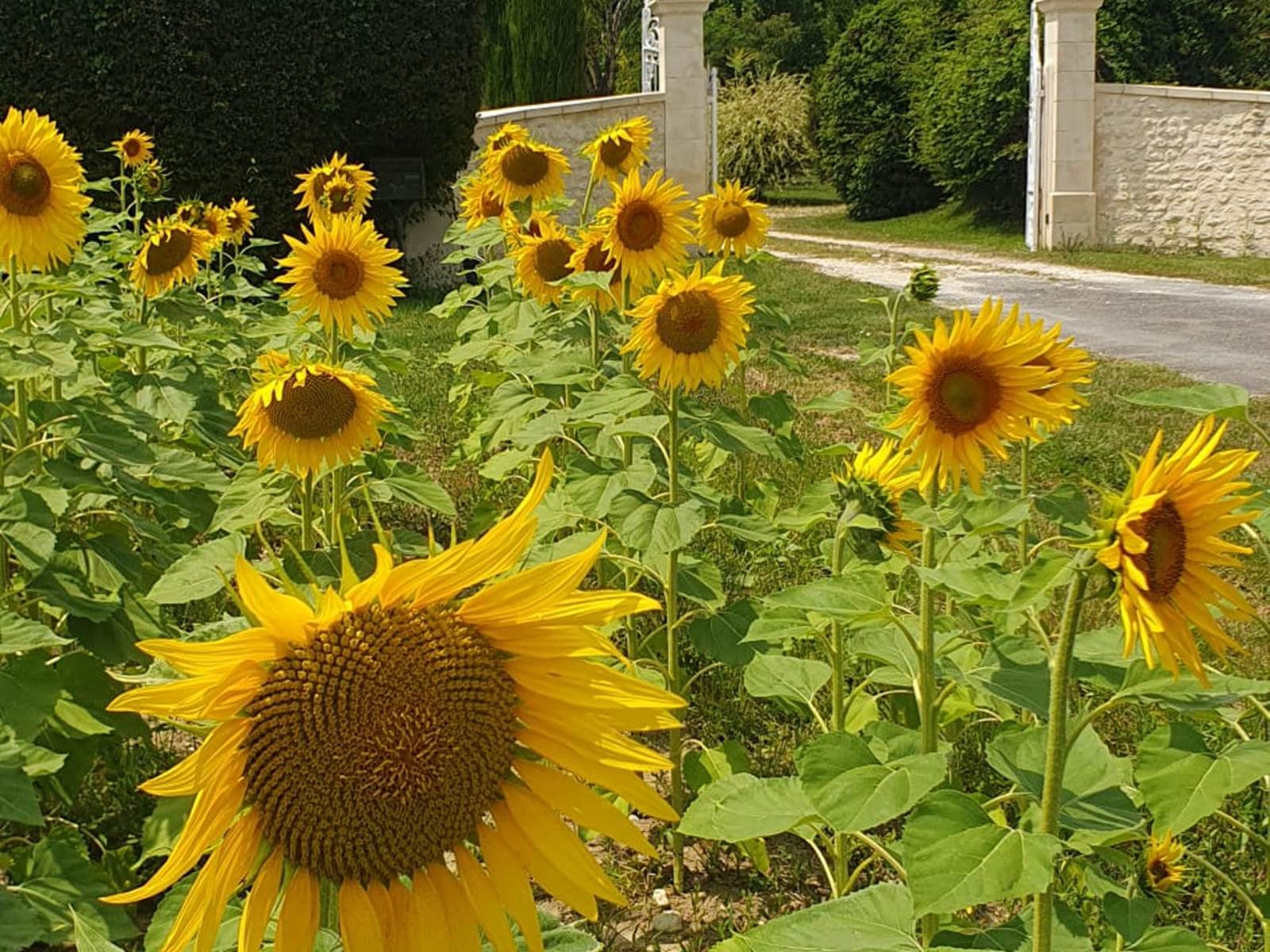 portail d'entrée-carousel