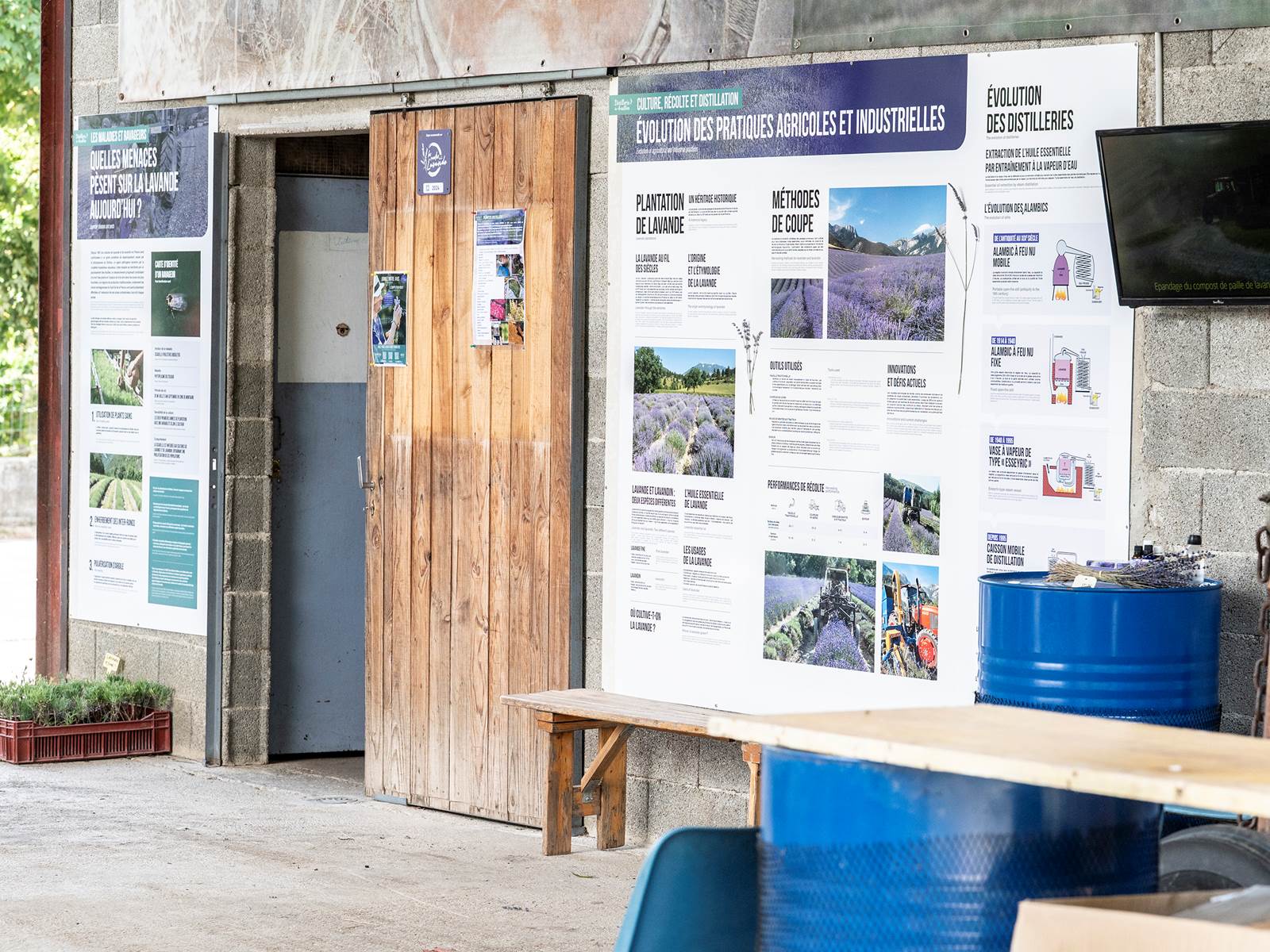 D4V_2025.07.08_Distillerie-01