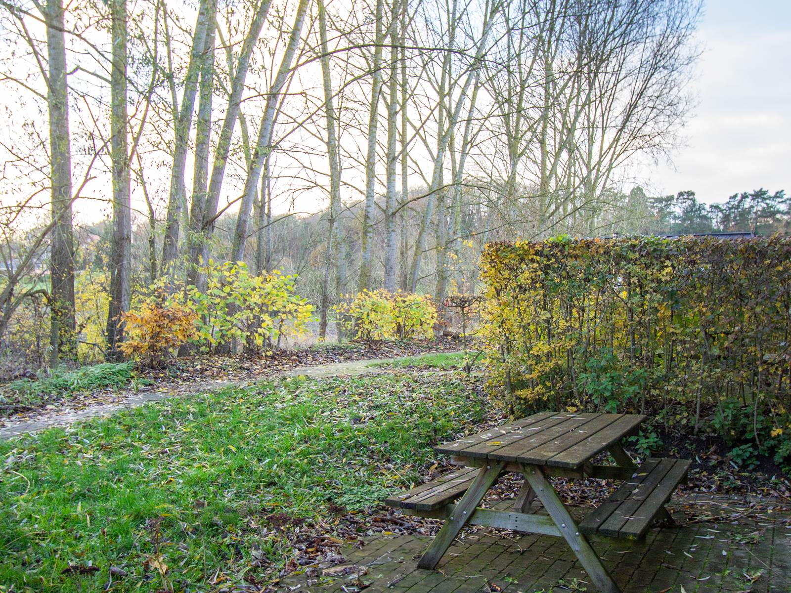 Terrasse privée