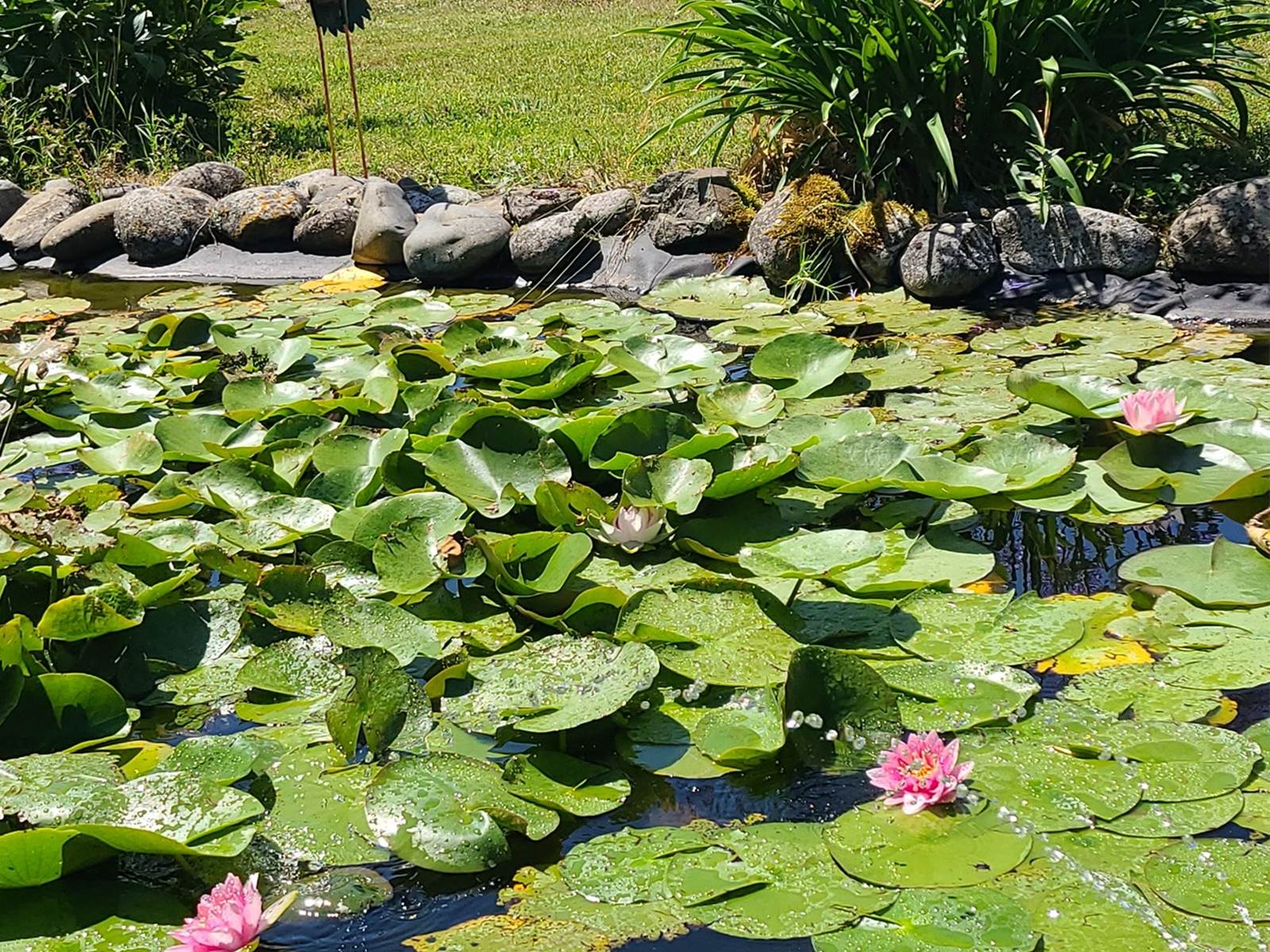 Entrée du SPA-carousel
