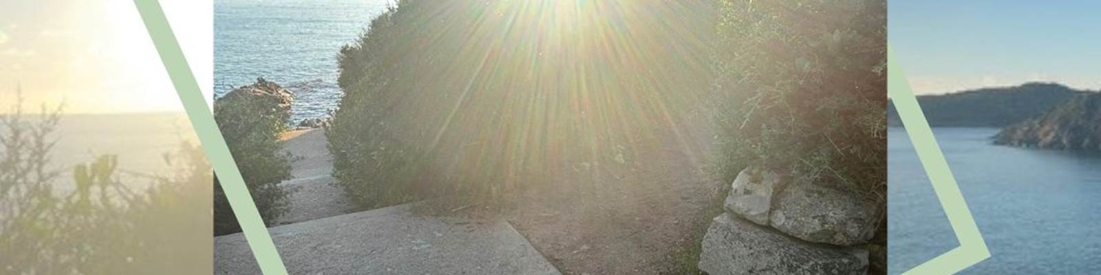 -news