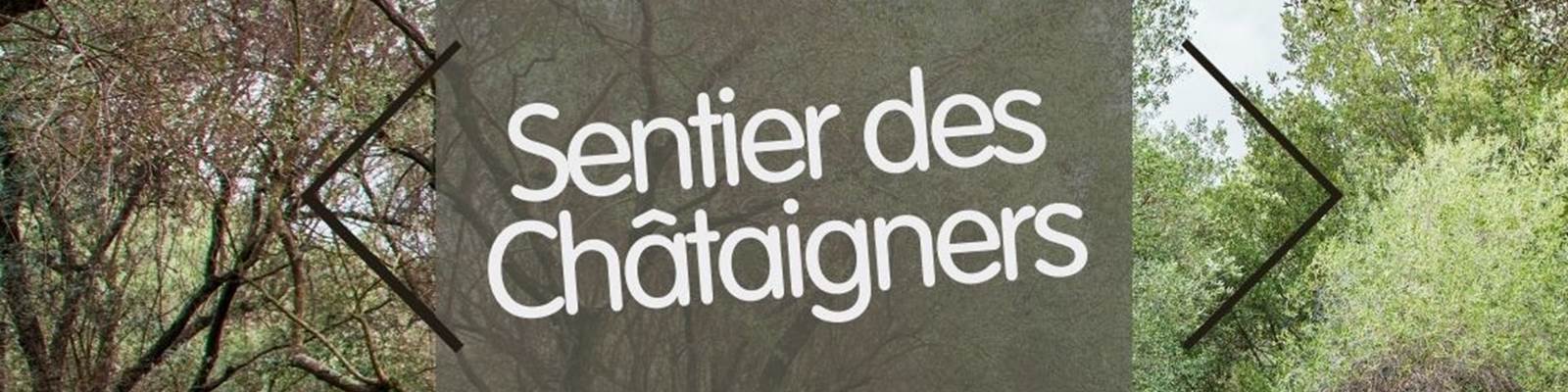 -news