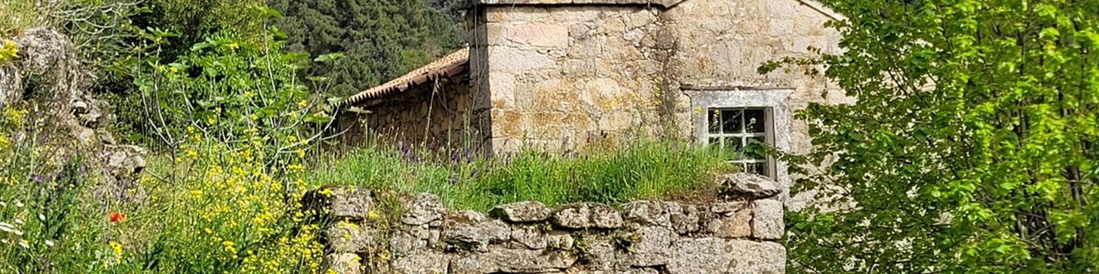 -news