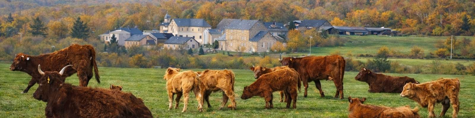 Village rural paisible