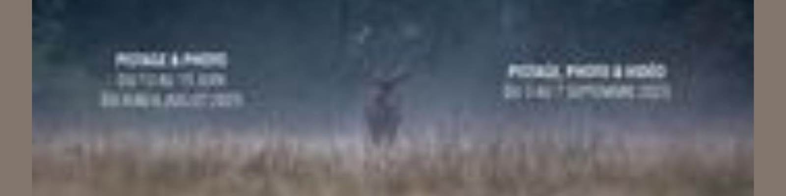 -news