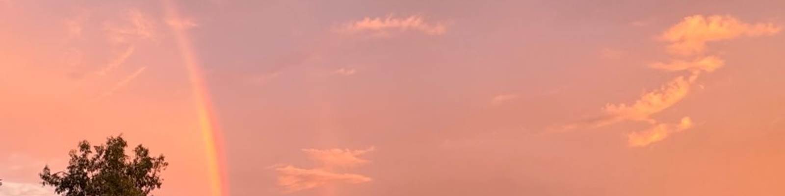 -news