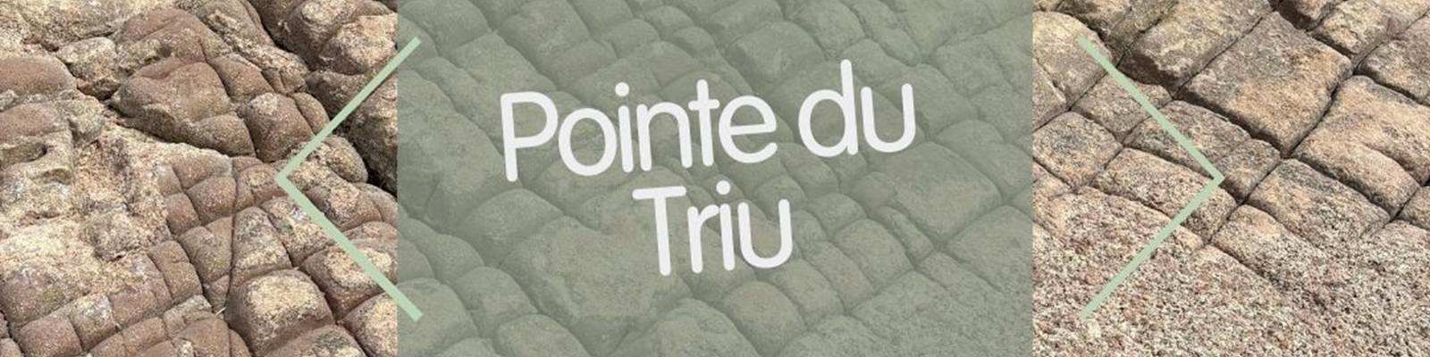 -news