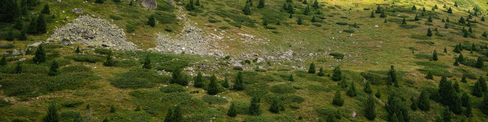 Activités en vallée d'Aspe
