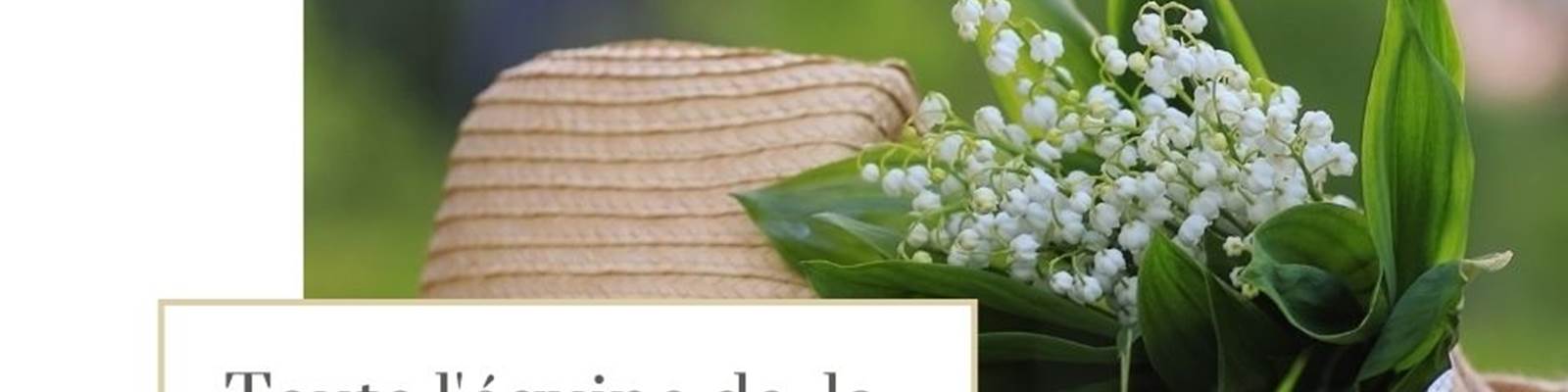 -news
