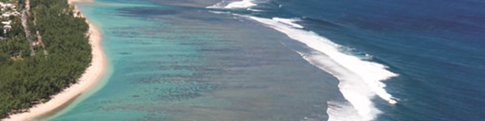 -bg-page