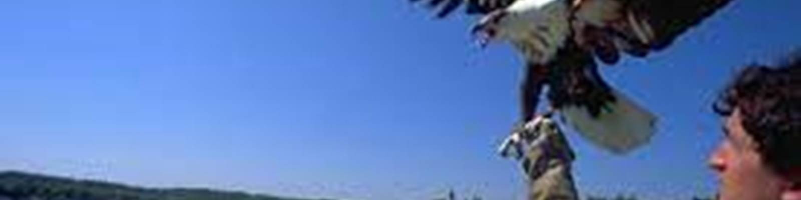 -news