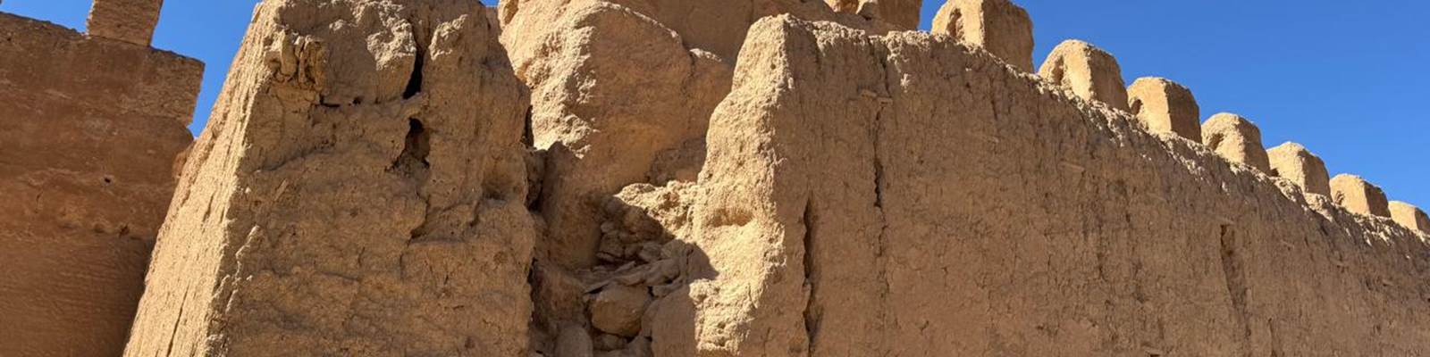 WhatsApp Image 2025-07-01 at 10.43.25 (4)