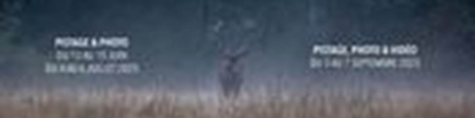 -news