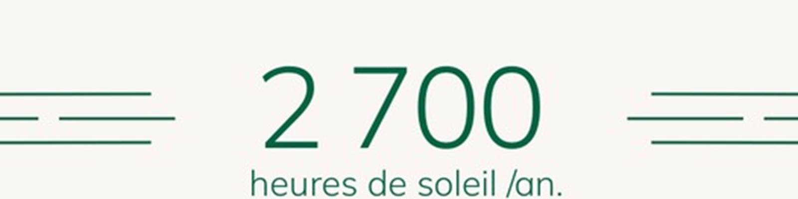 -news
