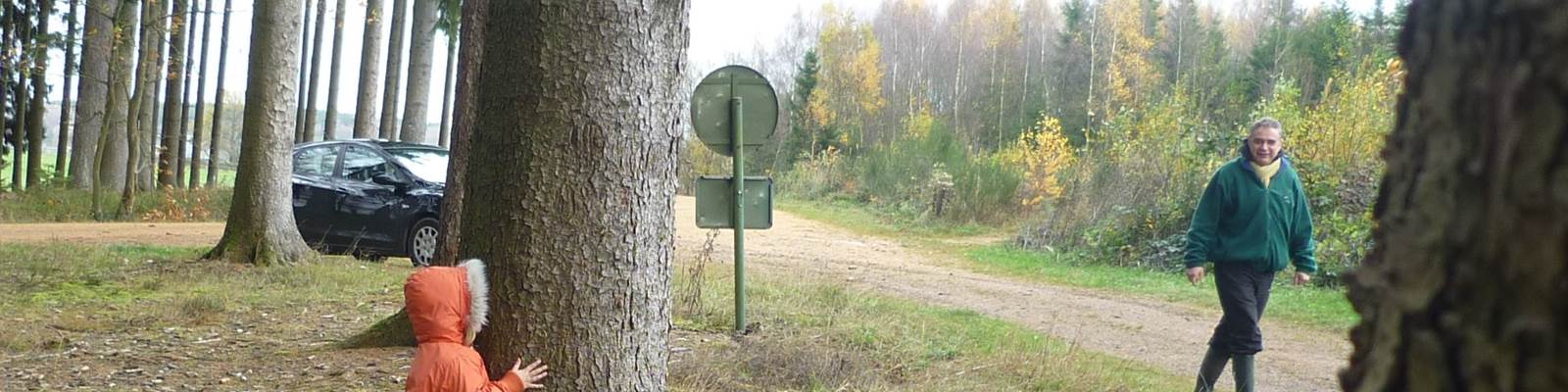 Les découvertes en forêt et ses parties de cache cache