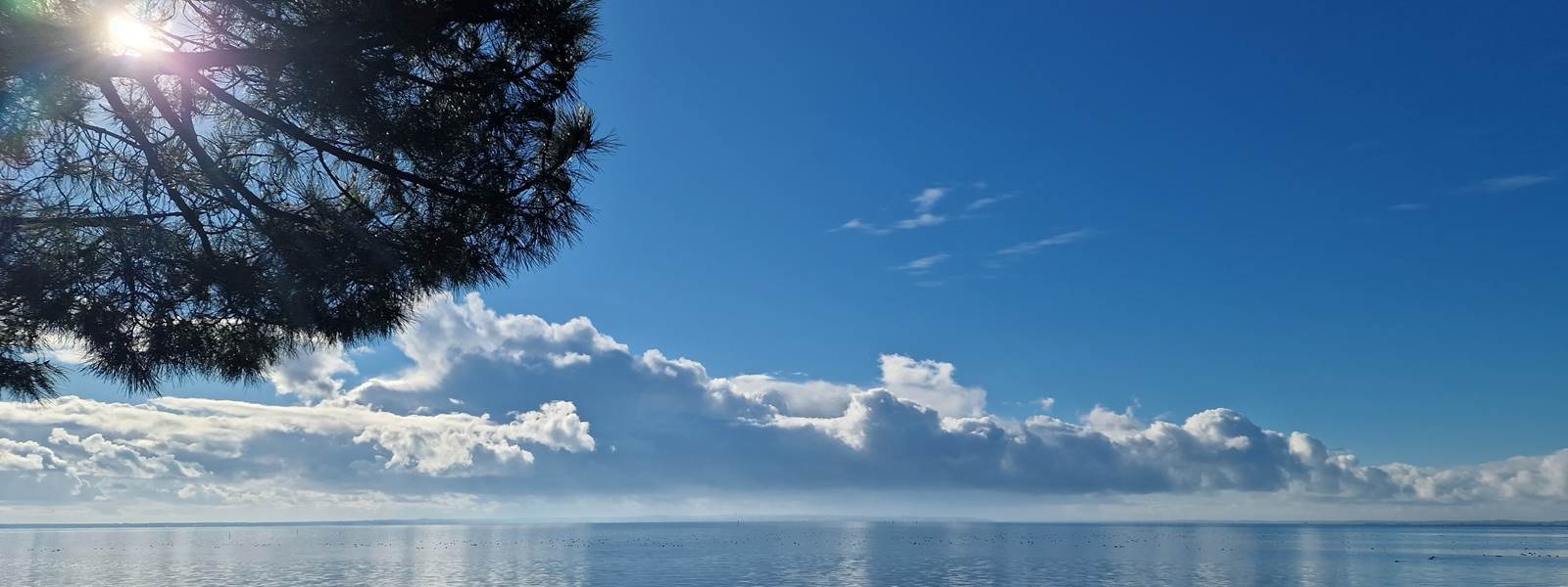 La plage de Taussat sur le Bassin d'Arcachon