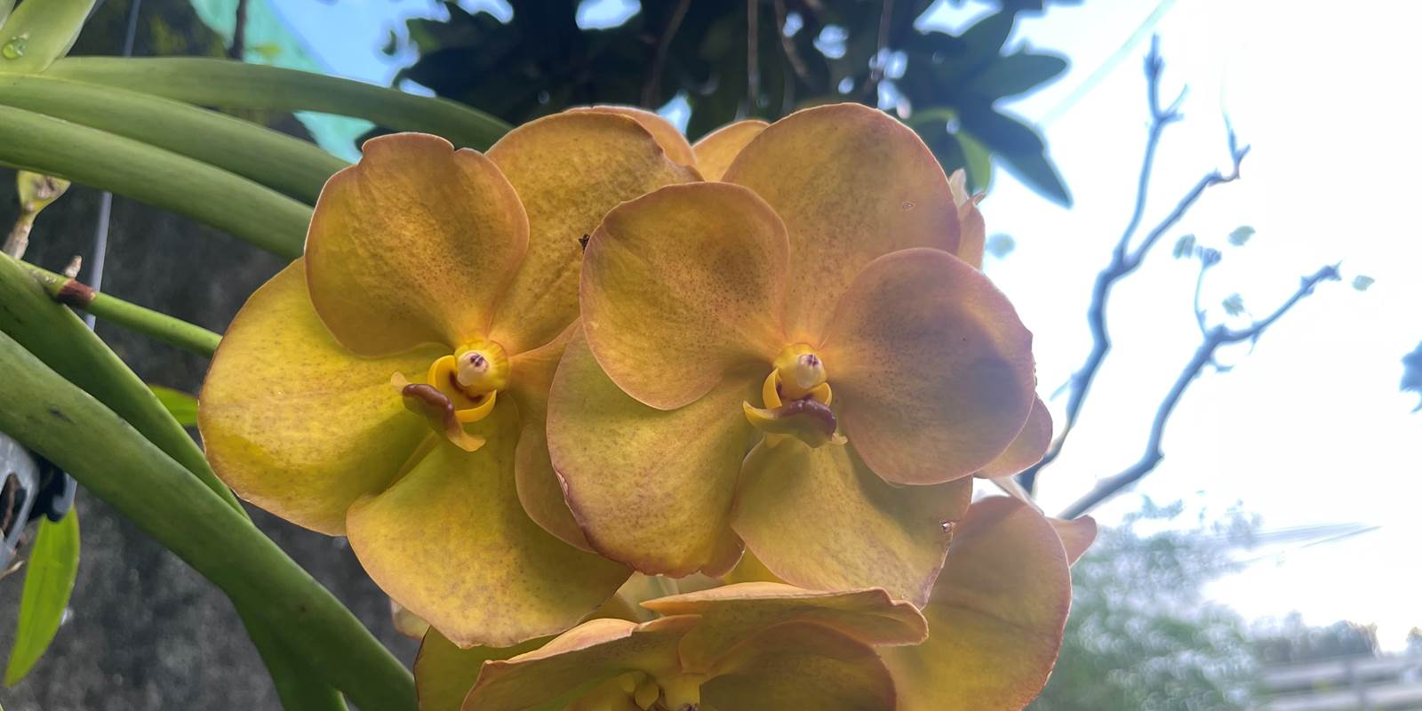 Les merveilles de la nature