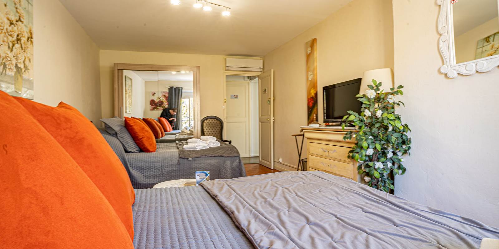 CAMELIA 3 2022 04-min