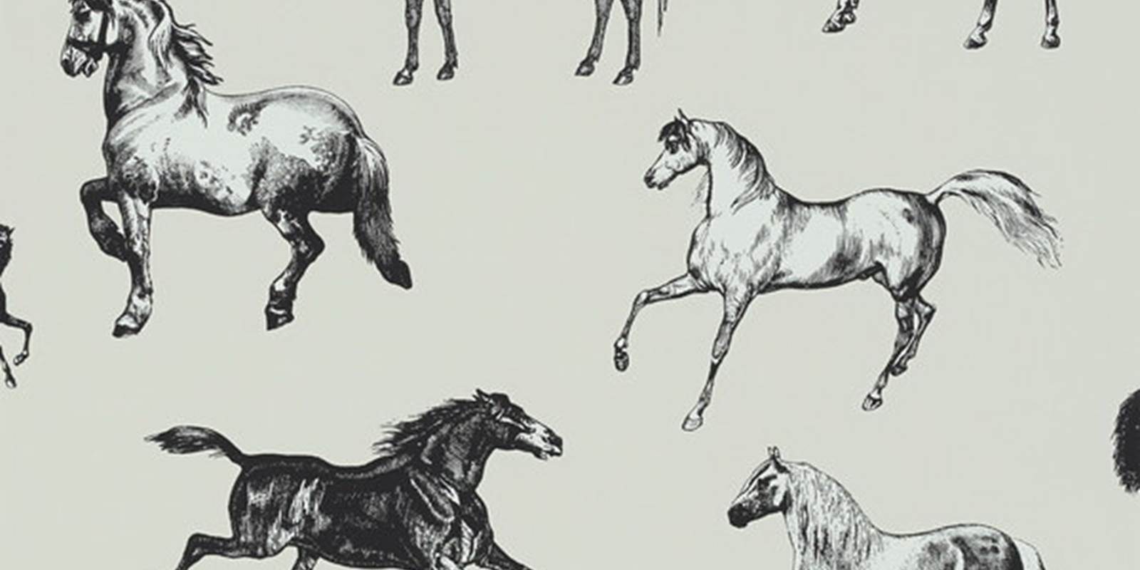 Papier peint chambre Epona