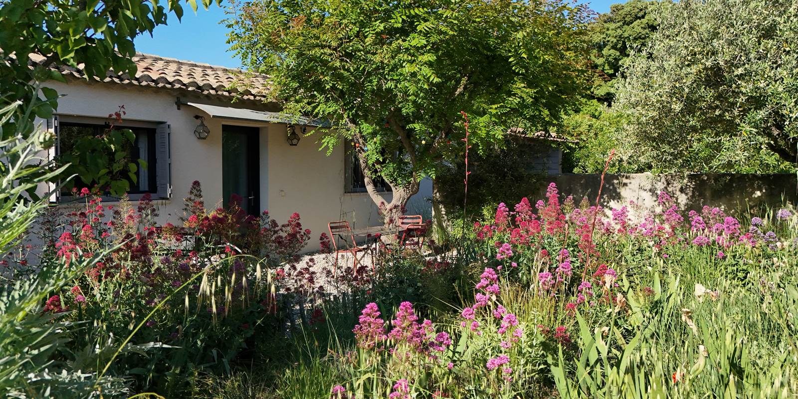 coin-repas- labsinthe-ladouceparenthese-olivier-nature-avignon