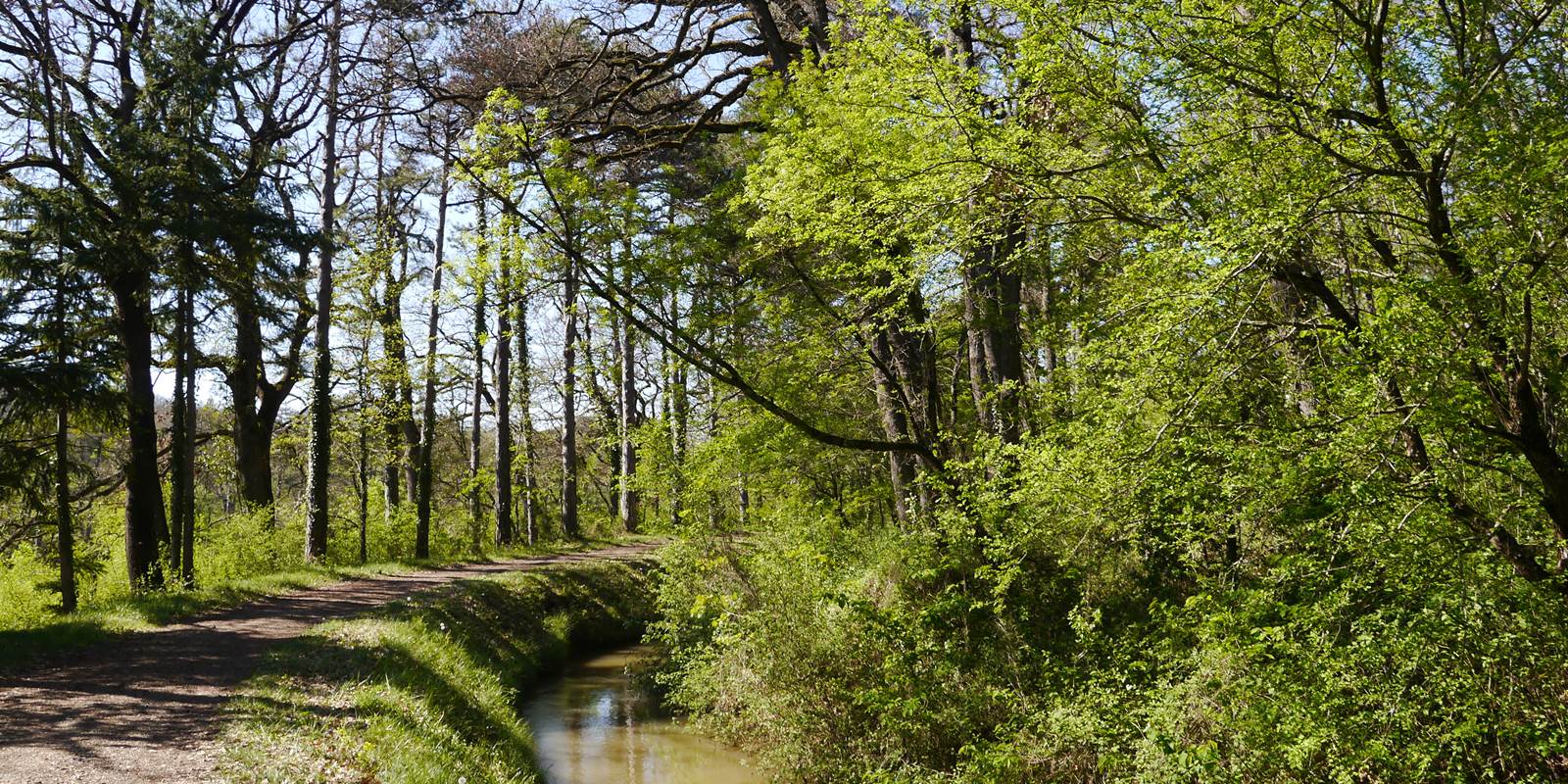 La rigole de la plaine qui borde la maison