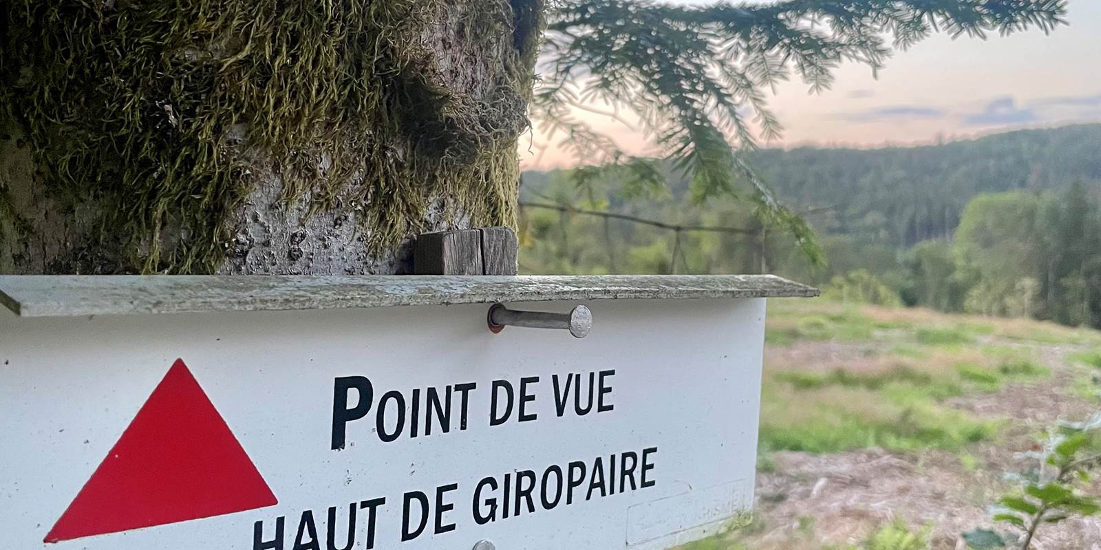 Le rockin70_Gîte Mountain_Déconnexion nature Vosges_Séjour nature Gérardmer_Gîte 8 personnes Vosges_Chalet forêt (6)