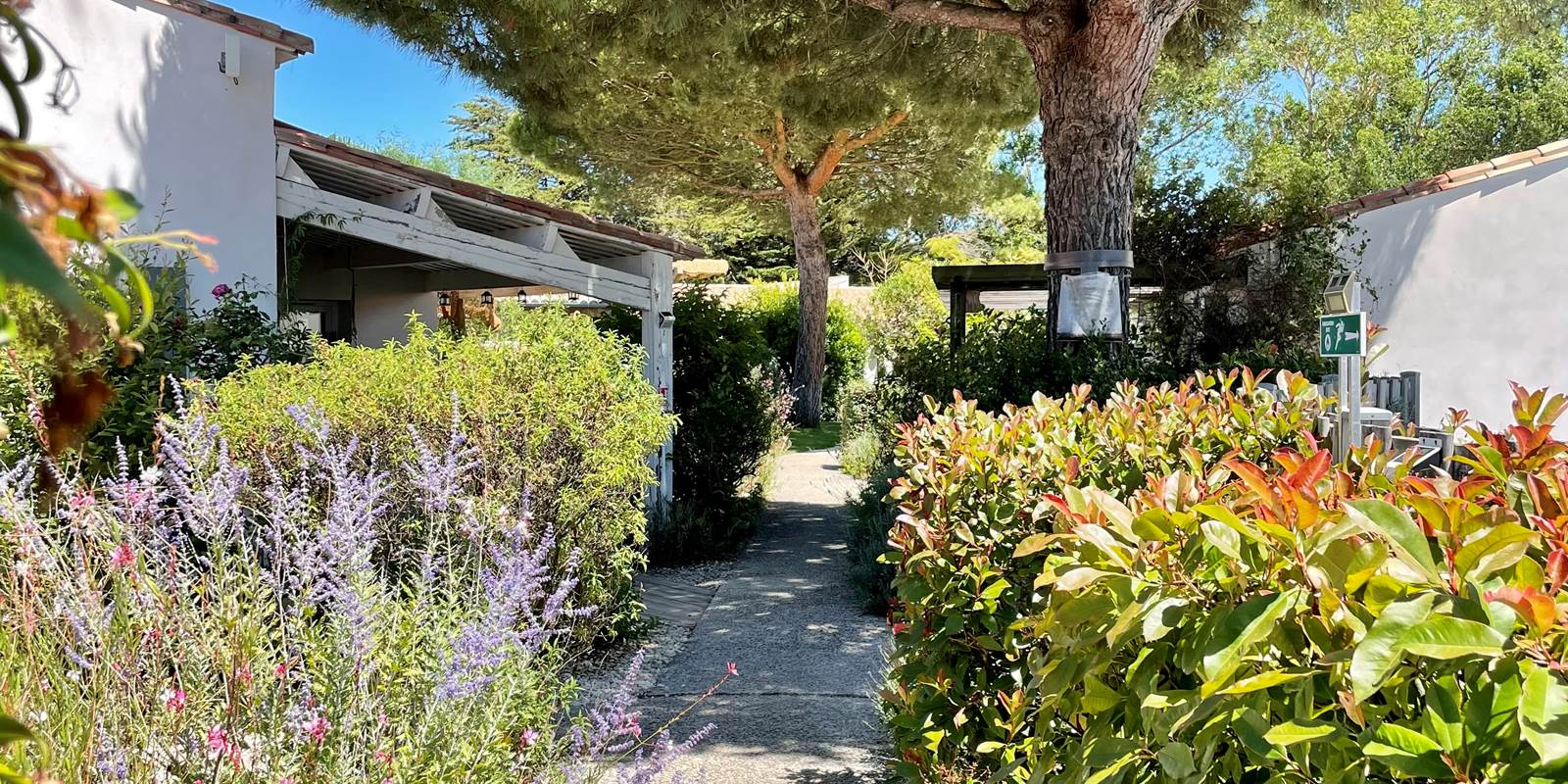 Jardin côté Piscine
