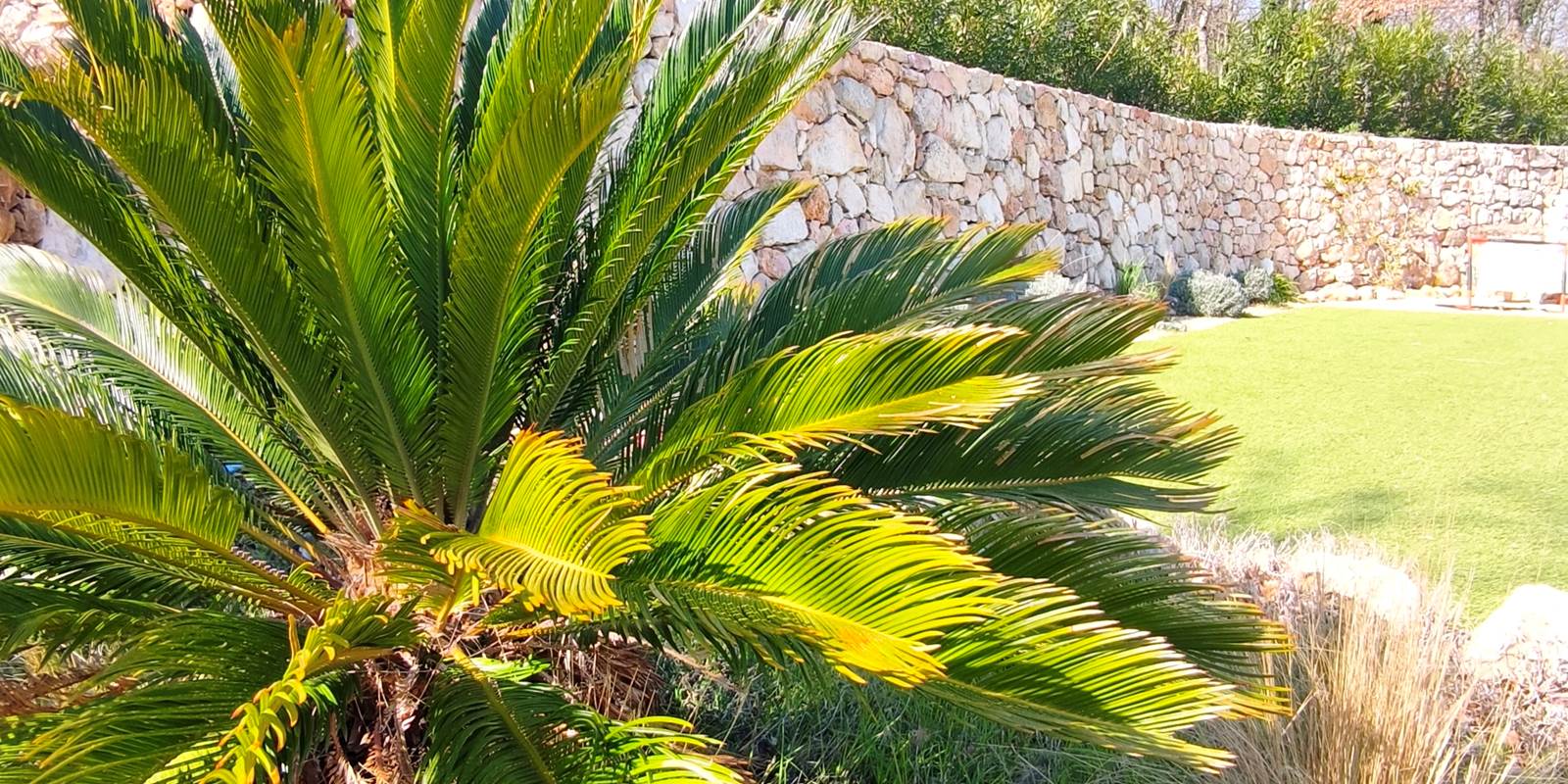 villa-maluan-villa-luxe-proche-nice-provence