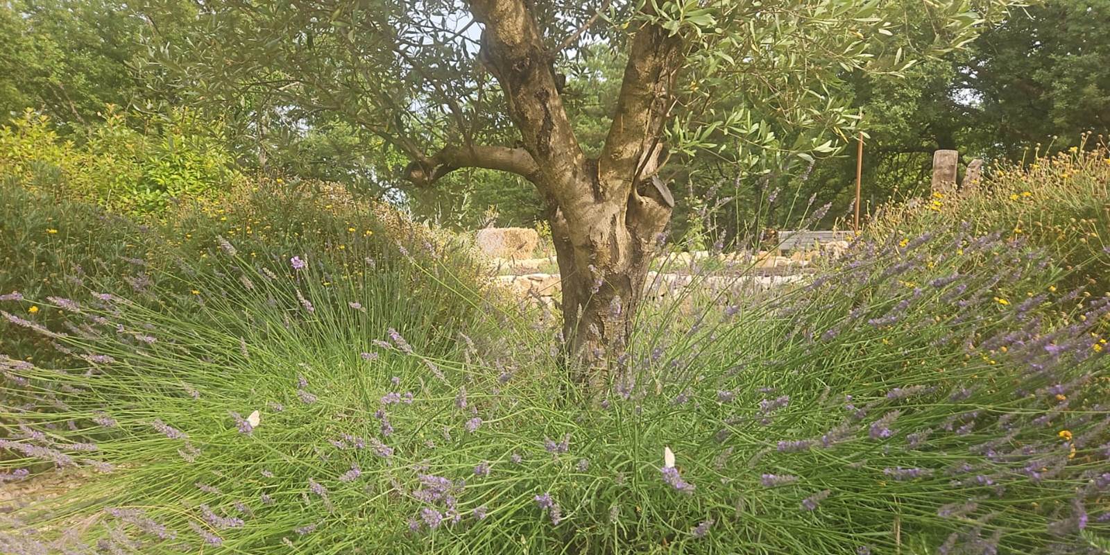 villa-maluan-location-vacances-luxe-cote-azur