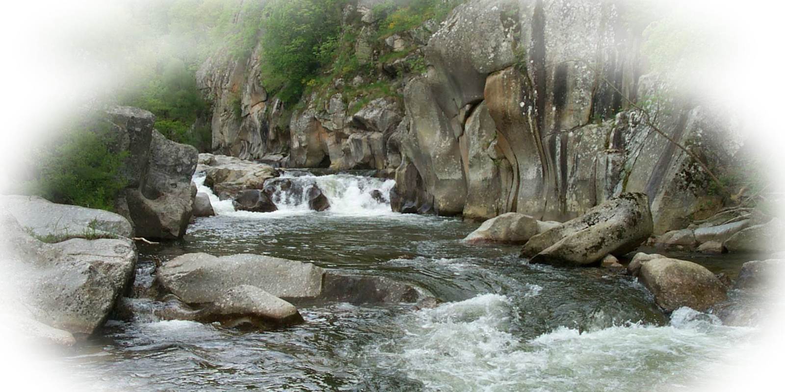 Des torrents pour les amateurs de pêche à la truite