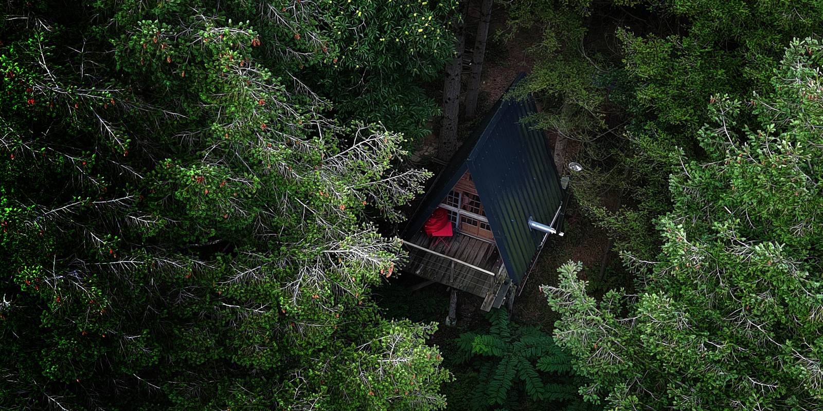 -1_2_0_2023_09_03_19_08_58_MAX_0041