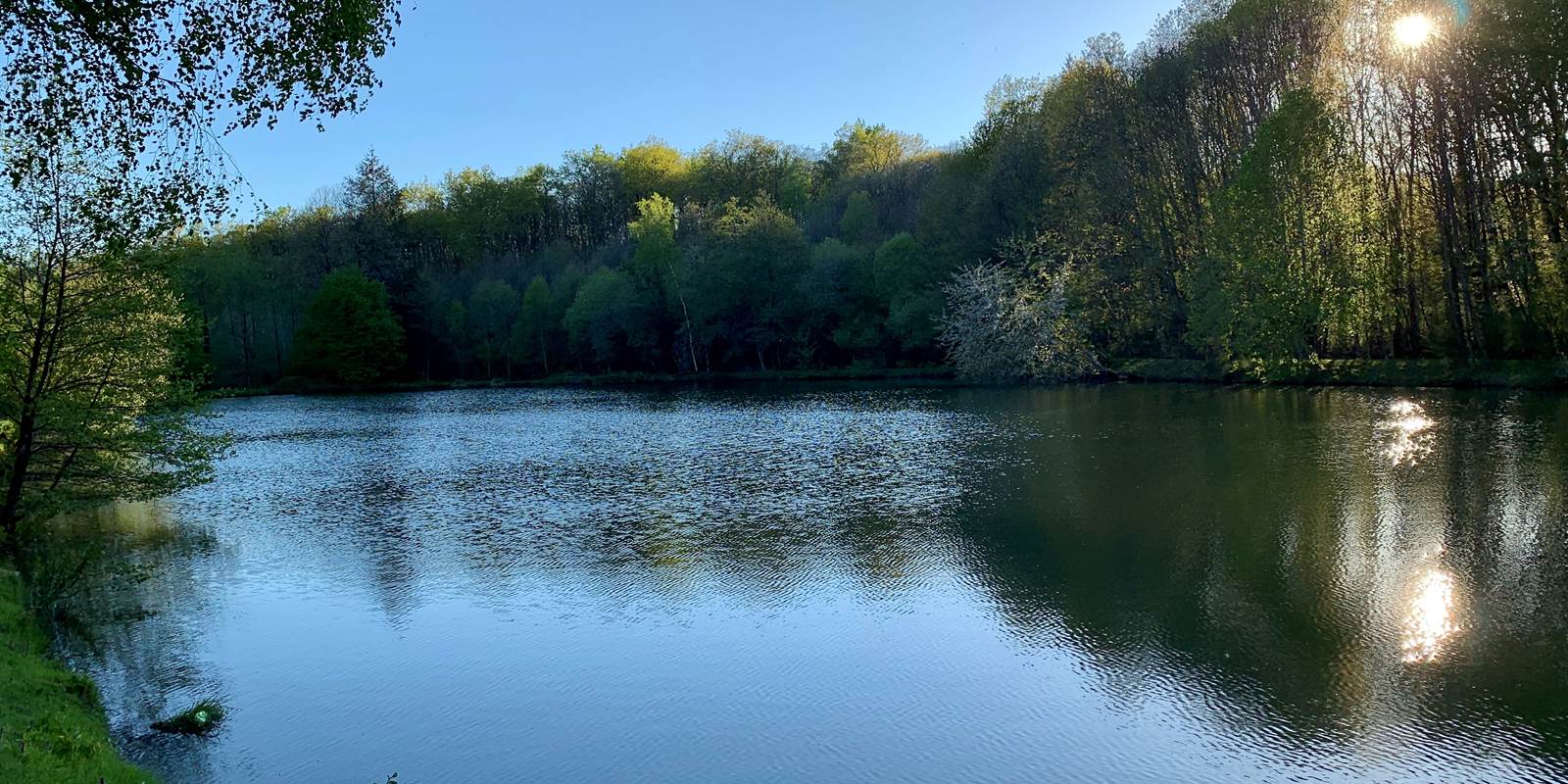 HOME CHIC DANS LES PRÉS - Étang