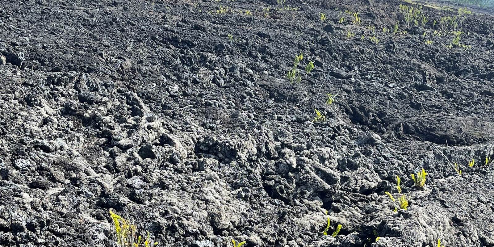 la-marine-saint-joseph