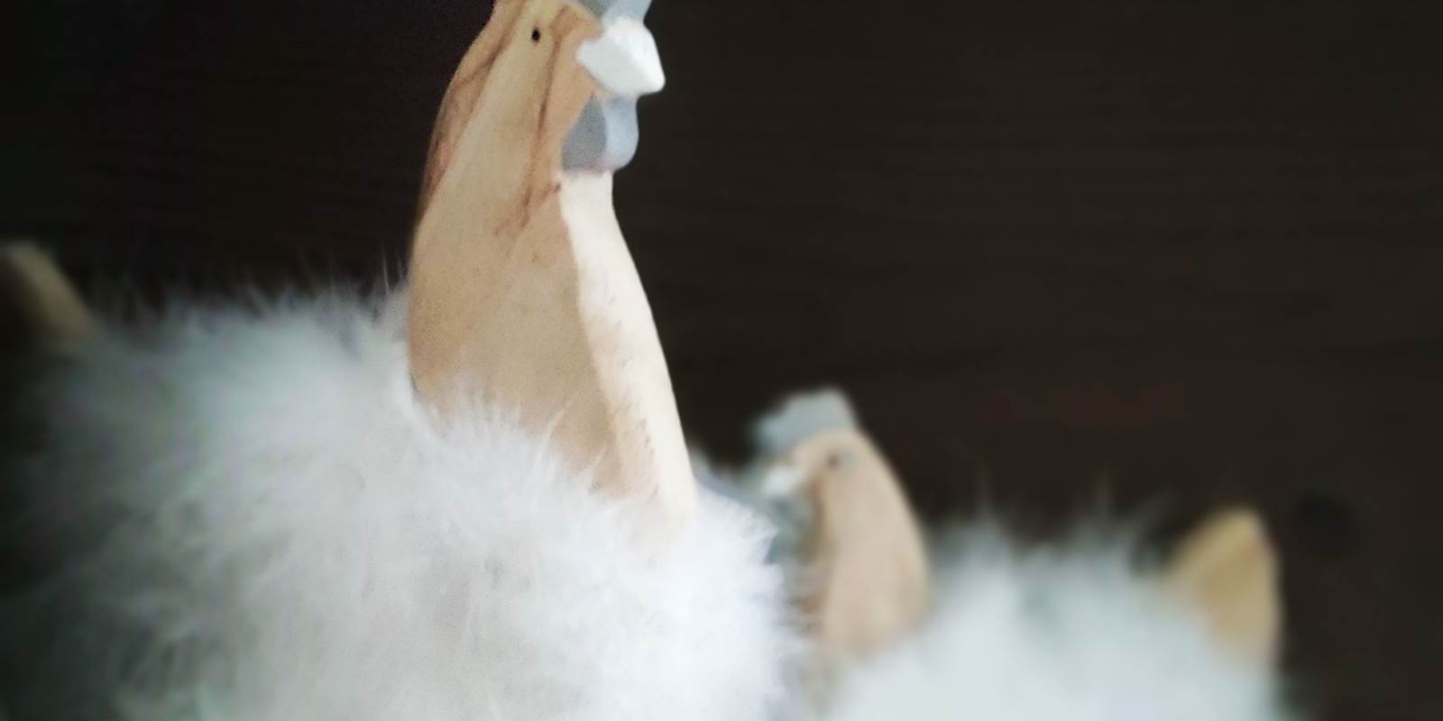 chambredhotes-campagnechic-poules-plumage-fourrure-élégance