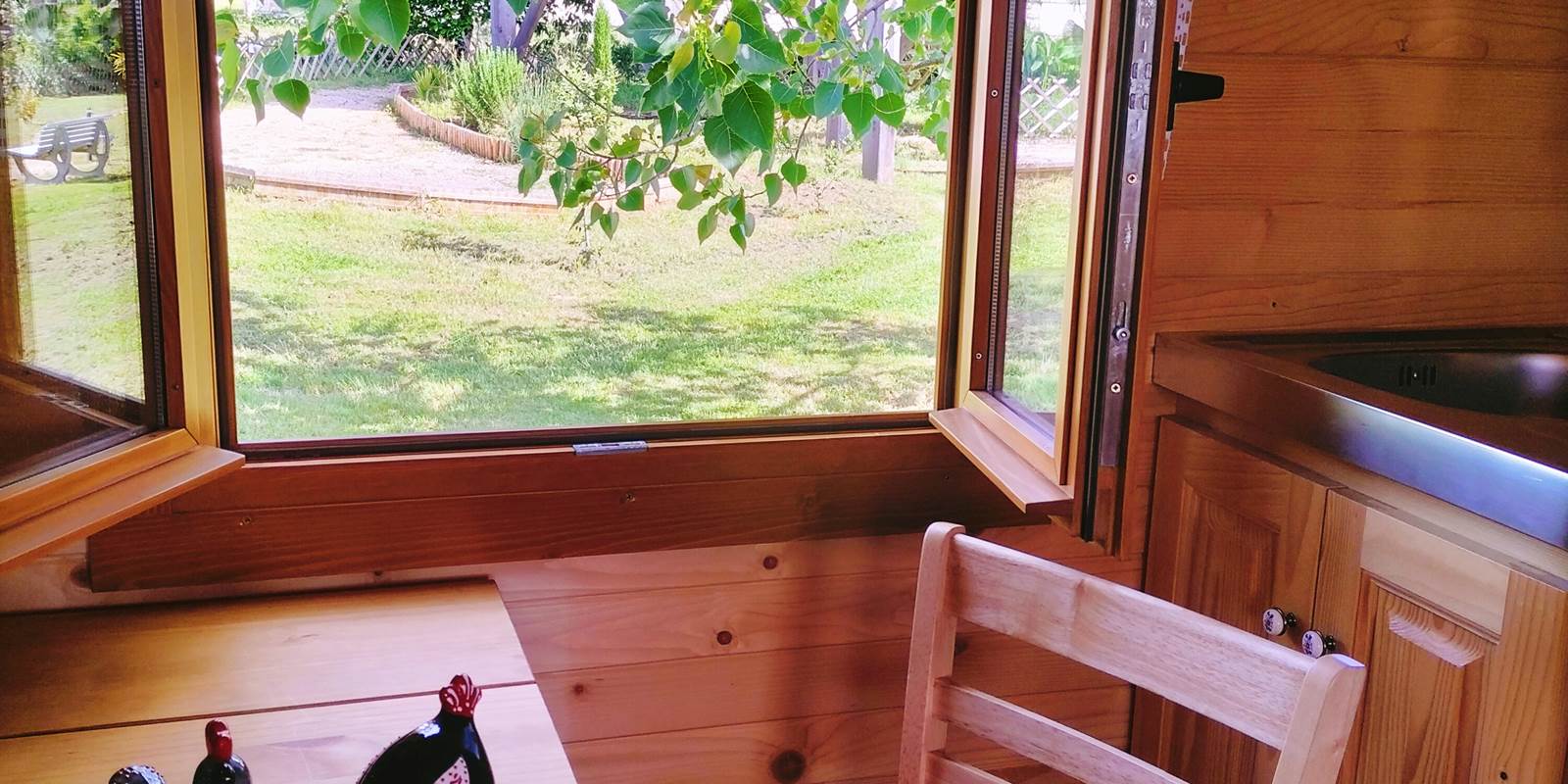 IMG_20240604_121138[1]