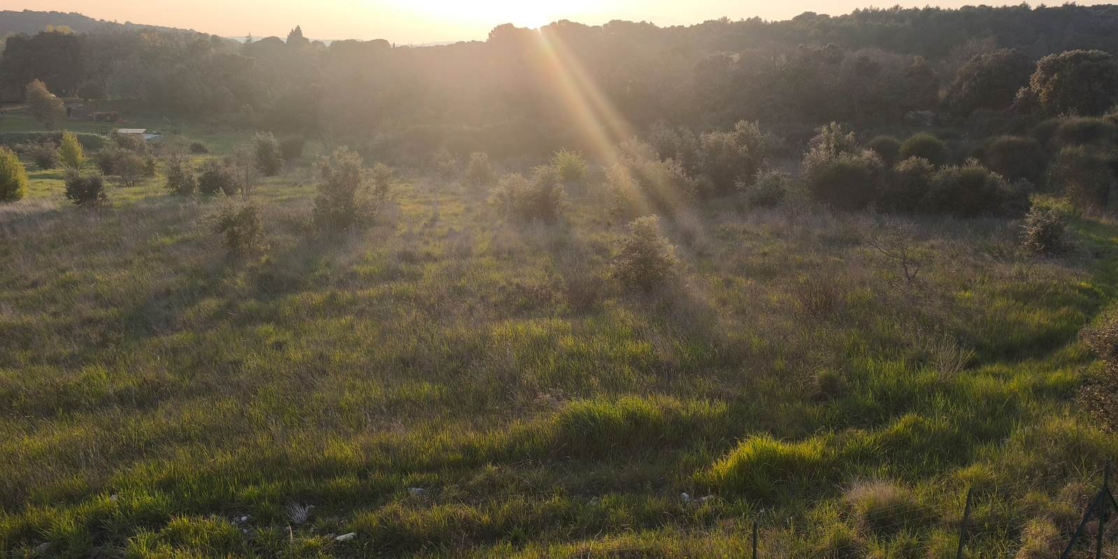Le Domaine de Jolio - Le coucher du soleil au Jolio !