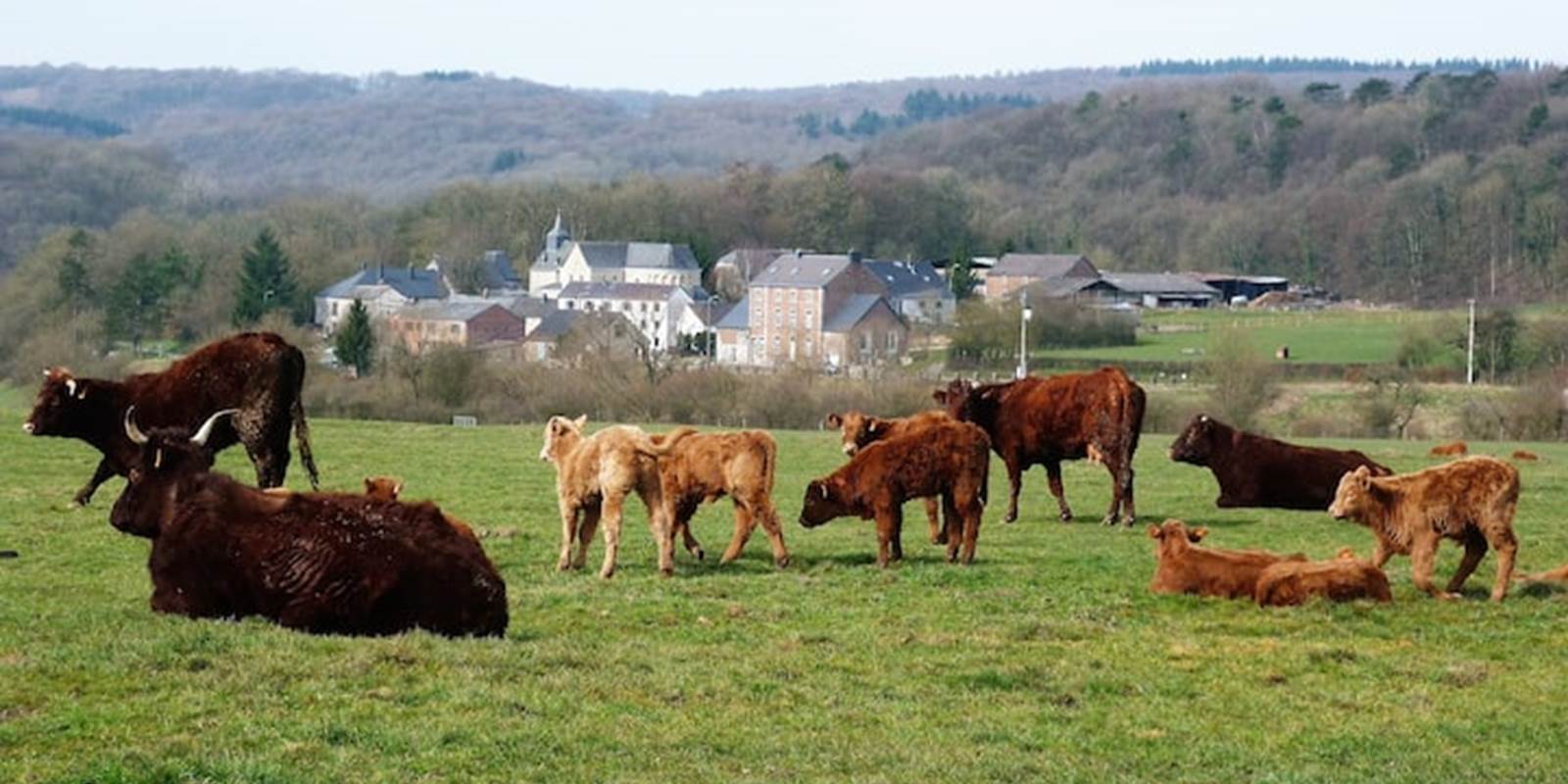 Le hameau tranquille de Xhignesse de +/- 40 habitants