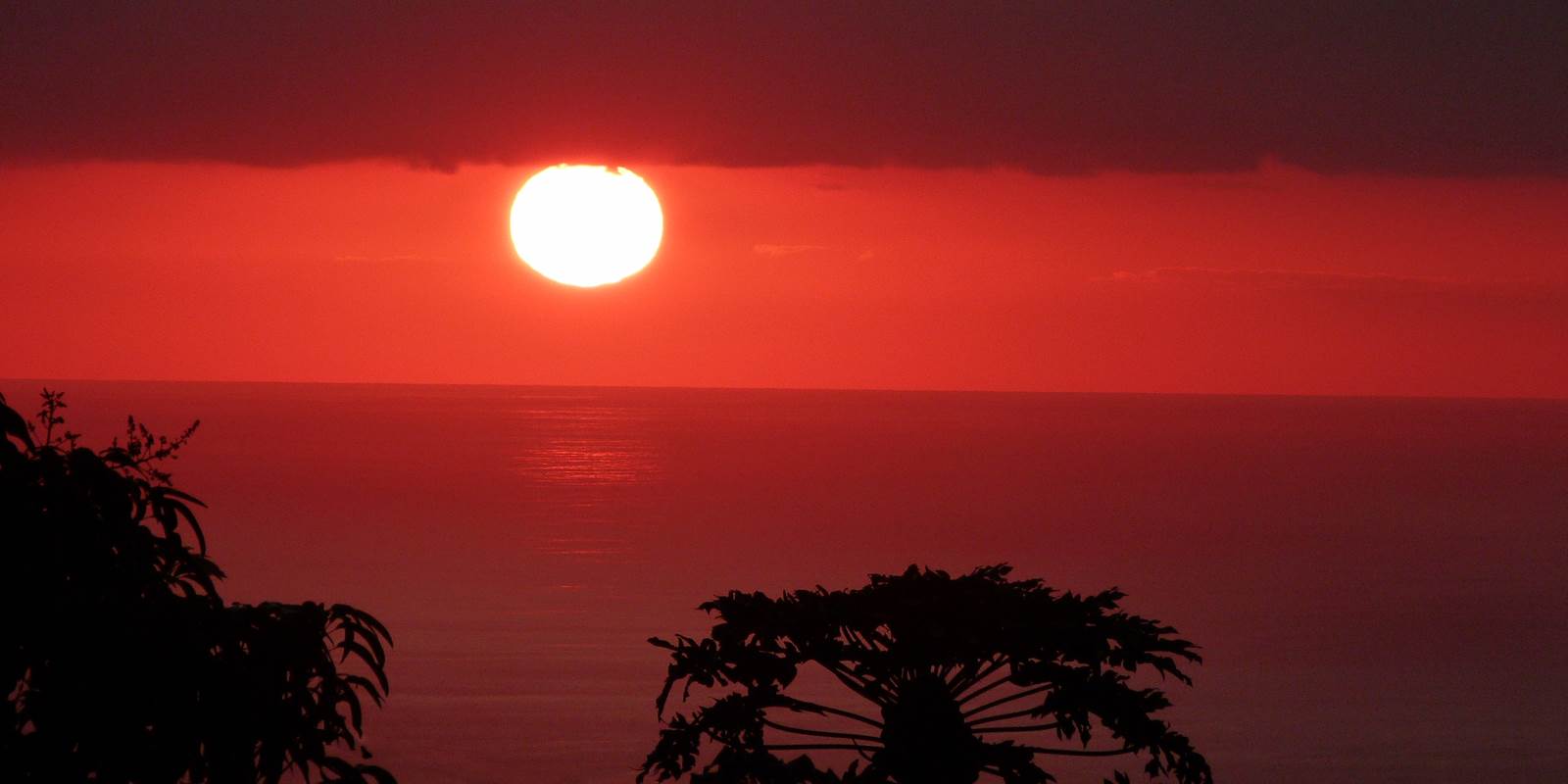 L'Orée du Maïdo - le soleil se couche un monde s'éveille !