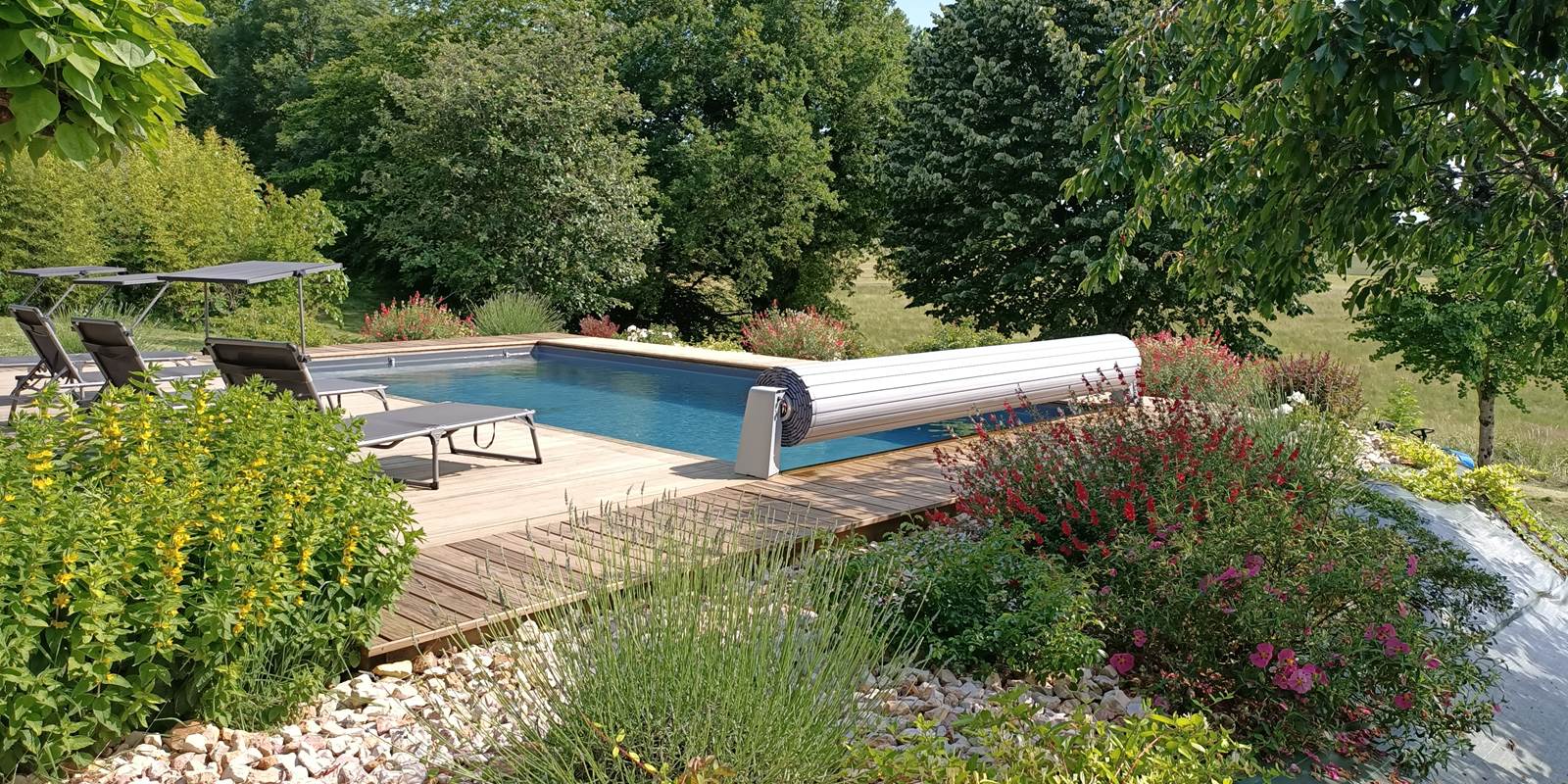 Piscine et la végétation qui l'entoure