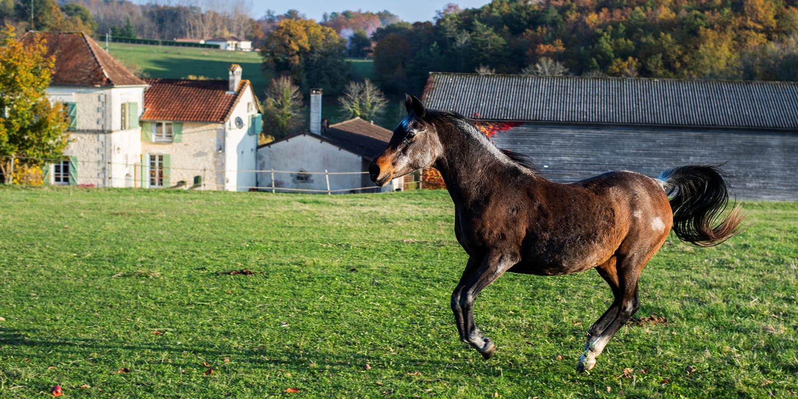 Vue des prés (c) M Dartenset