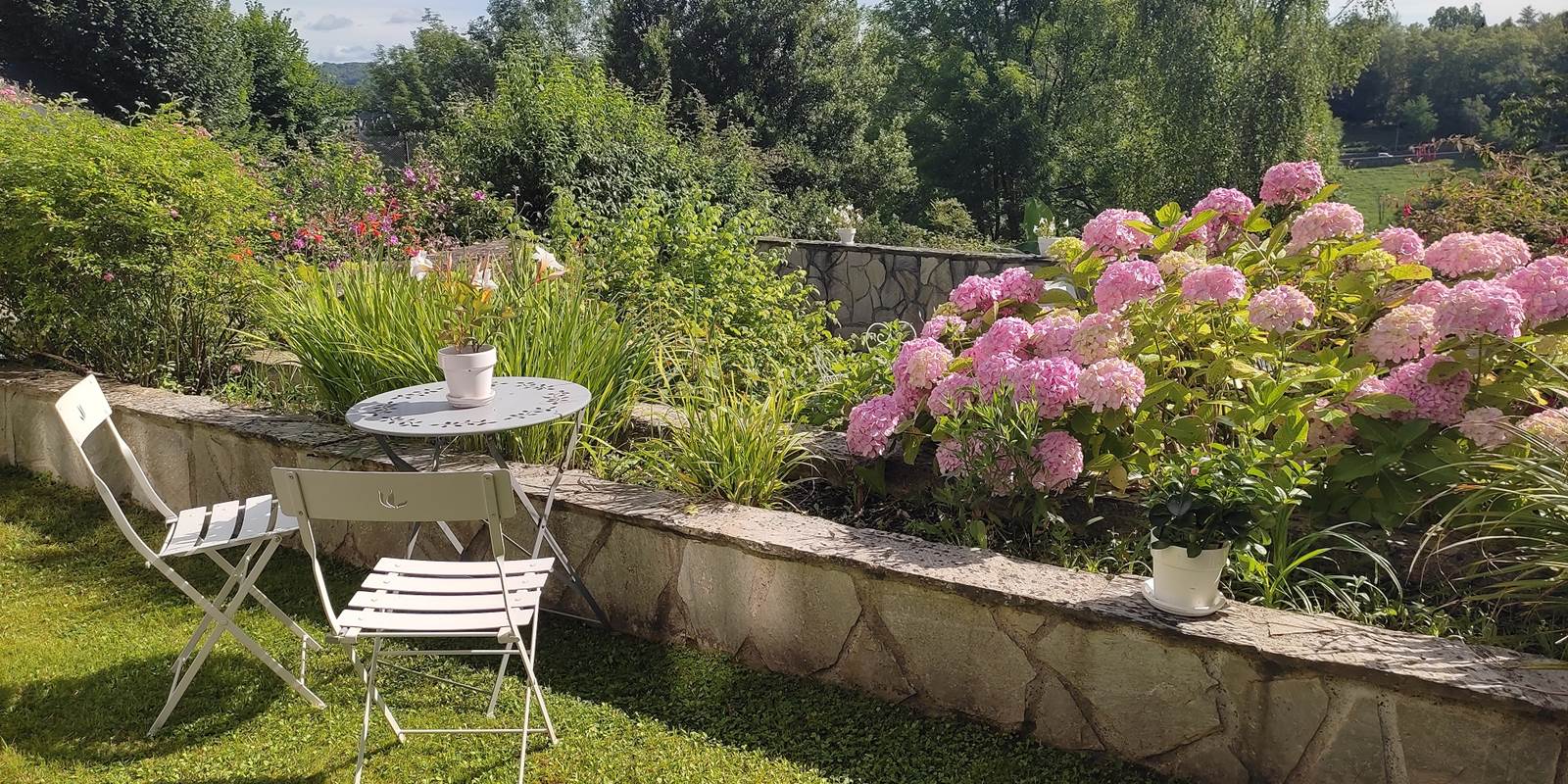 Petit-déjeuner dans la nature