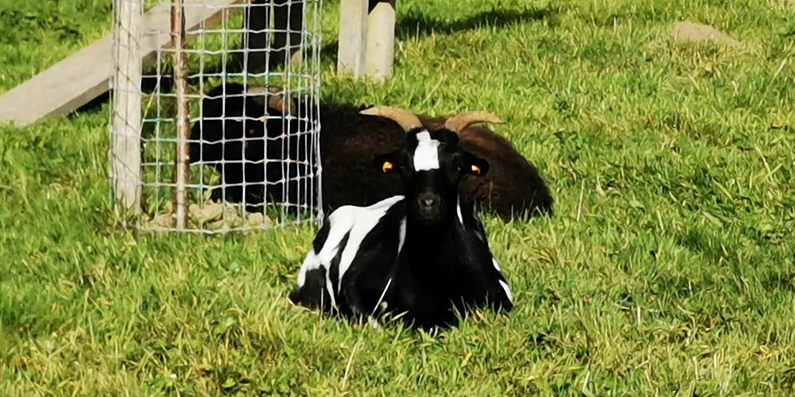 393268878_249199121070309_9110465386266817567_n