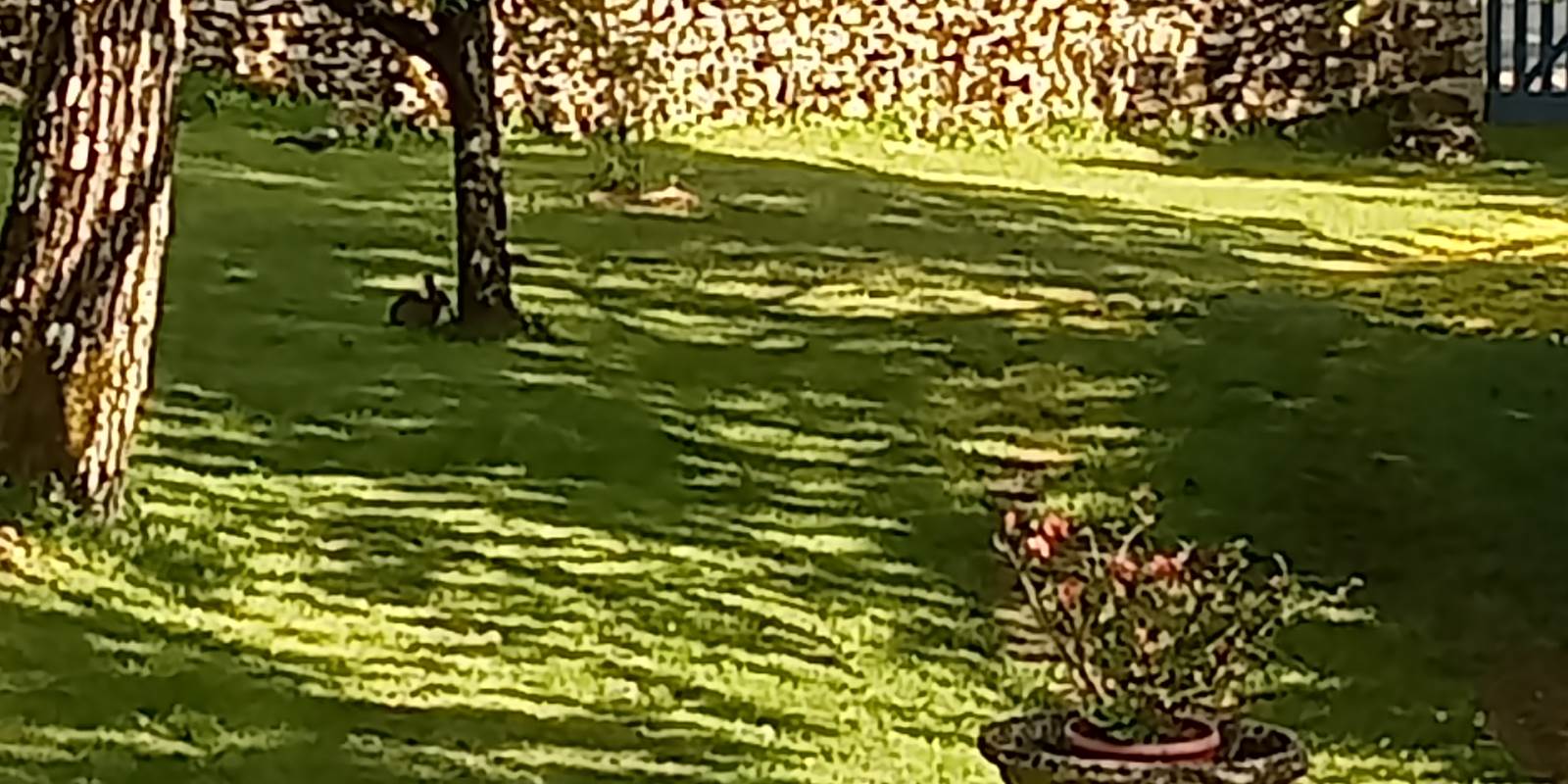 parc
