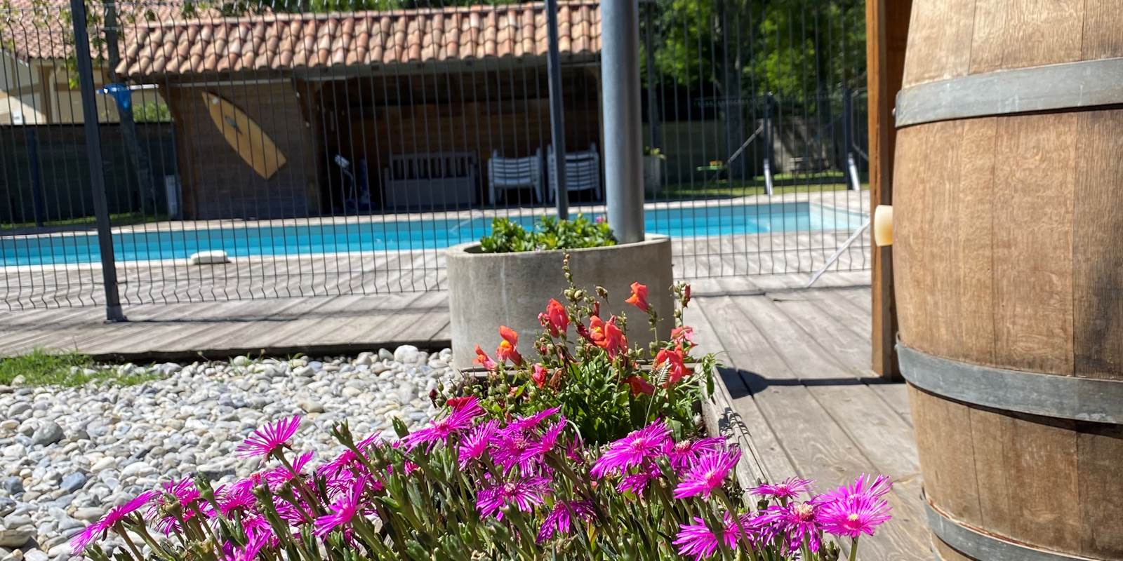 Fleurs et vue piscine