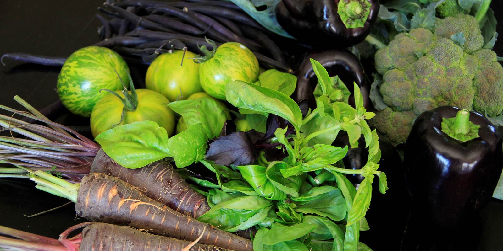 Retour du Marché de Villebois Lavalette
