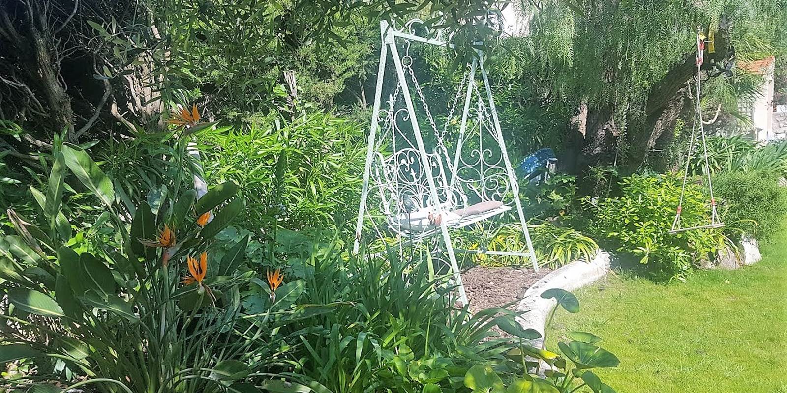 blue dream cannes  (48)