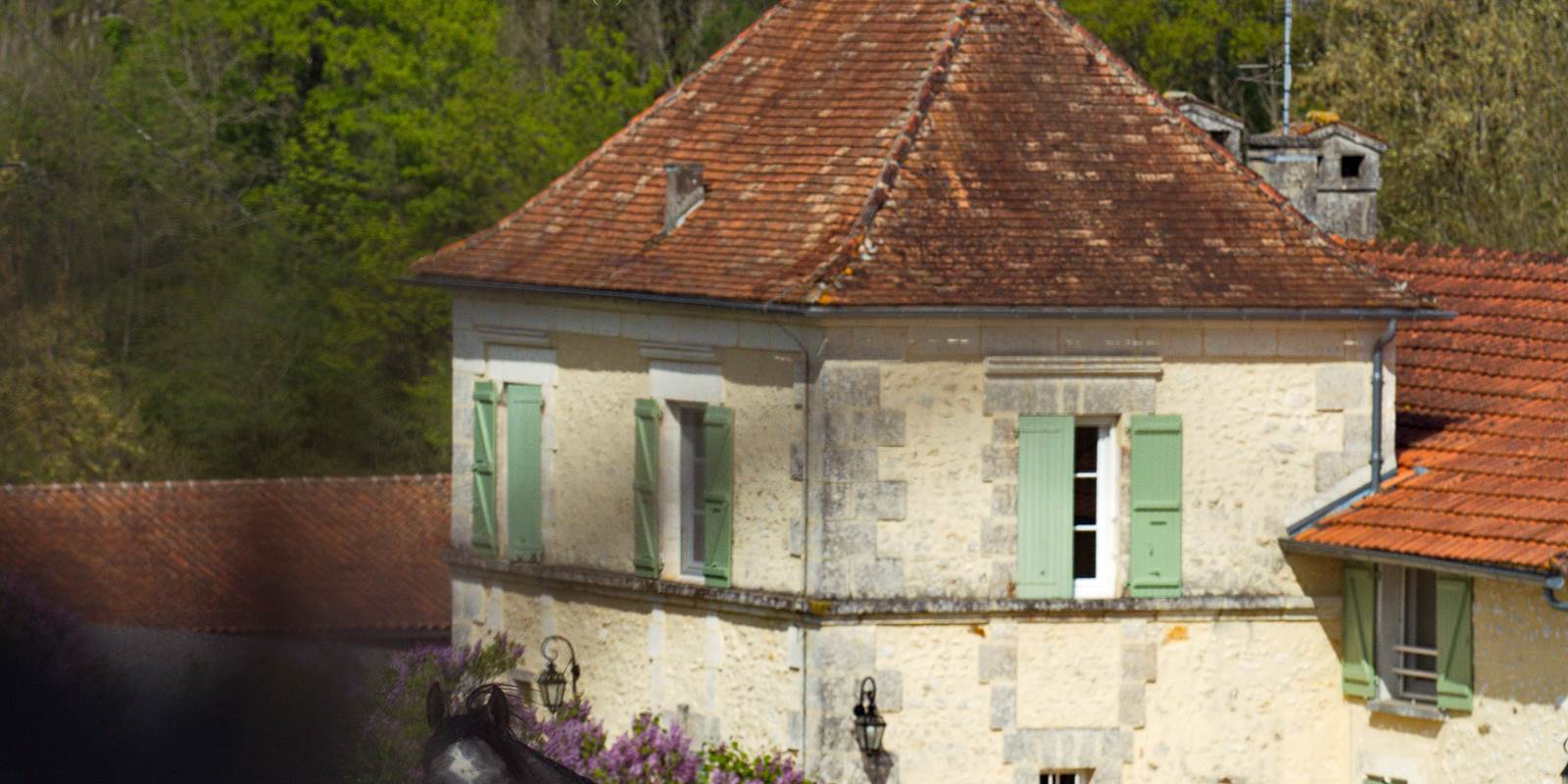 La Grande Maison: la Chambre Epona dans le Pigeonnier
