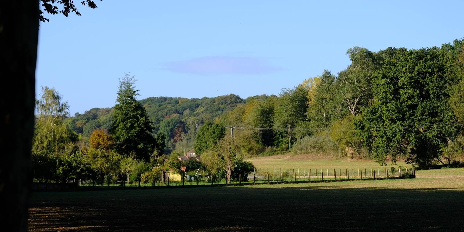 Bois des Dames sortie du village (Copy)